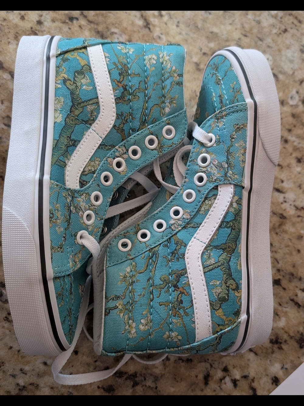 Vans x Van Gogh Almond Blossom  Sk8 High Top Sneakers